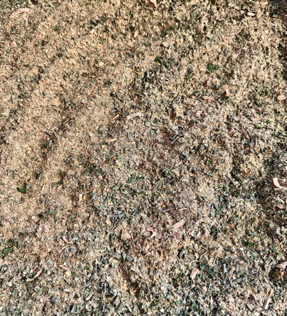 For The Love Of Garlic Butter Spice Seasoning Mix -Makes 2 Recipes - Garlic Bread - Rich Full of Flavor - EASY- Spices are Gluten Free- YUM!