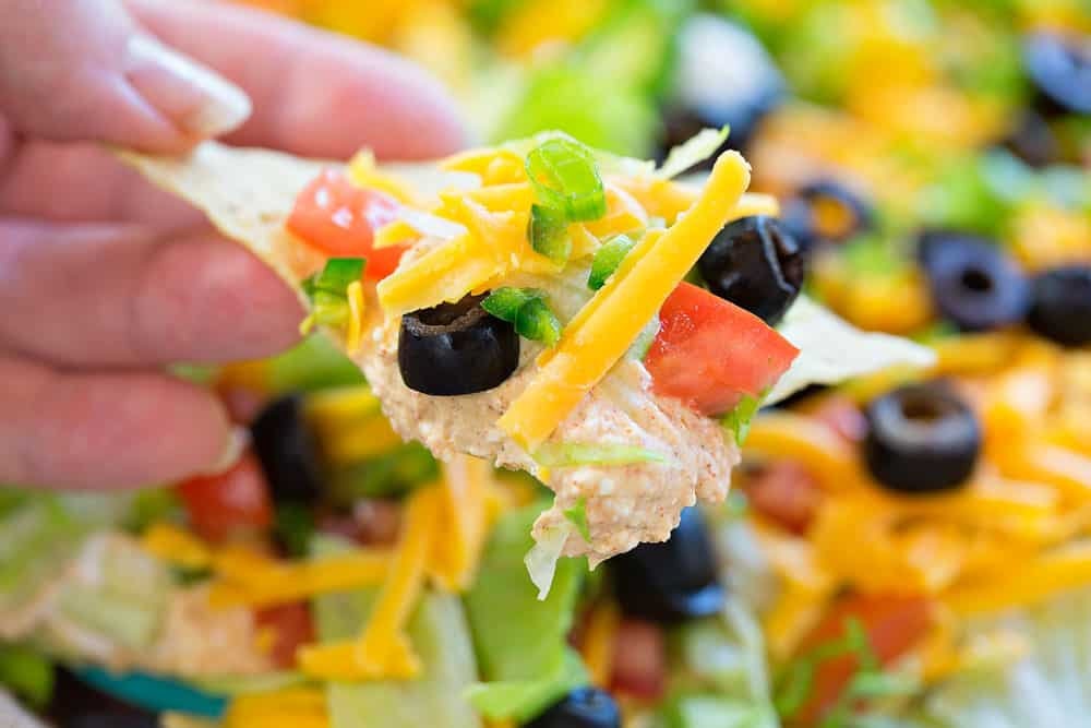 Spicy Taco Dip** Spice Seasoning Dip Mix and Recipe ~ Mexican Taco Topping ~ Tuesday Taco Night ~ Creamy ~ Layered Taco Dip ~ Fan Favorite