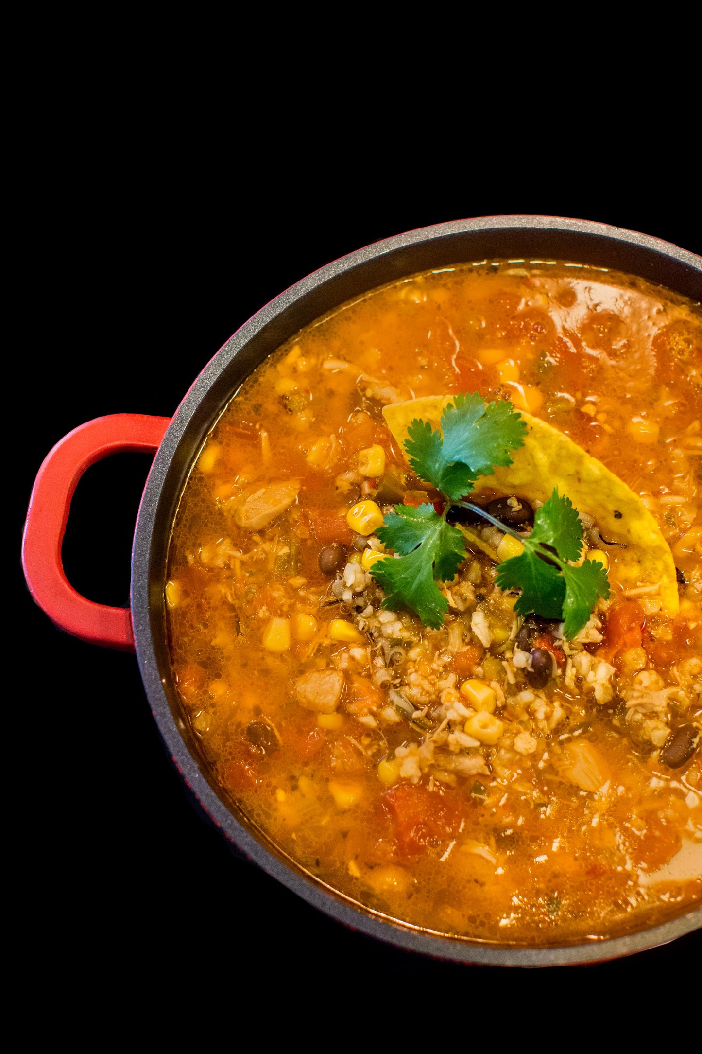 Chipotle Chicken and Wild Rice Soup** Tortilla Soup Spice Seasoning Mix (NO SALT version) -Mexican -Gluten Free Spices -No MSG - Hearty -Yum